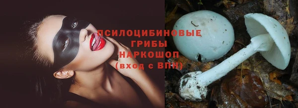 a pvp Майский